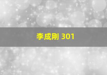 李成刚 301